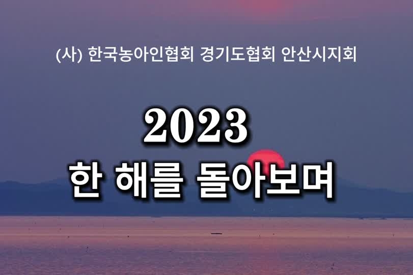 2023 한 해를 돌아보며